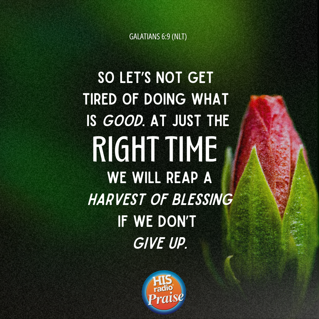 Galatians 6:9 - Verse of the Day