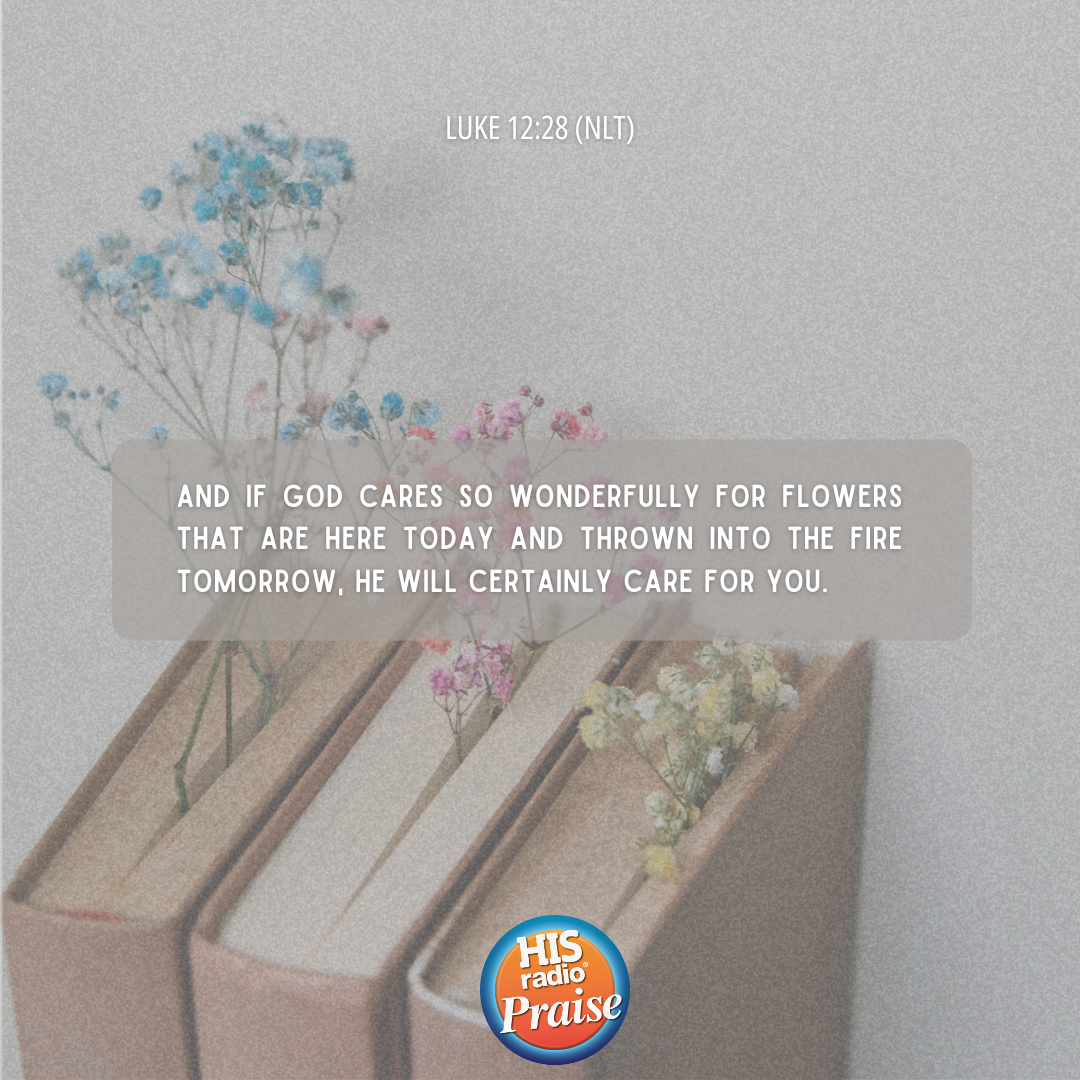 Luke 12:28 - Verse of the Day