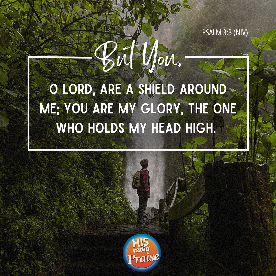 Psalm 3:3 - Verse of the Day