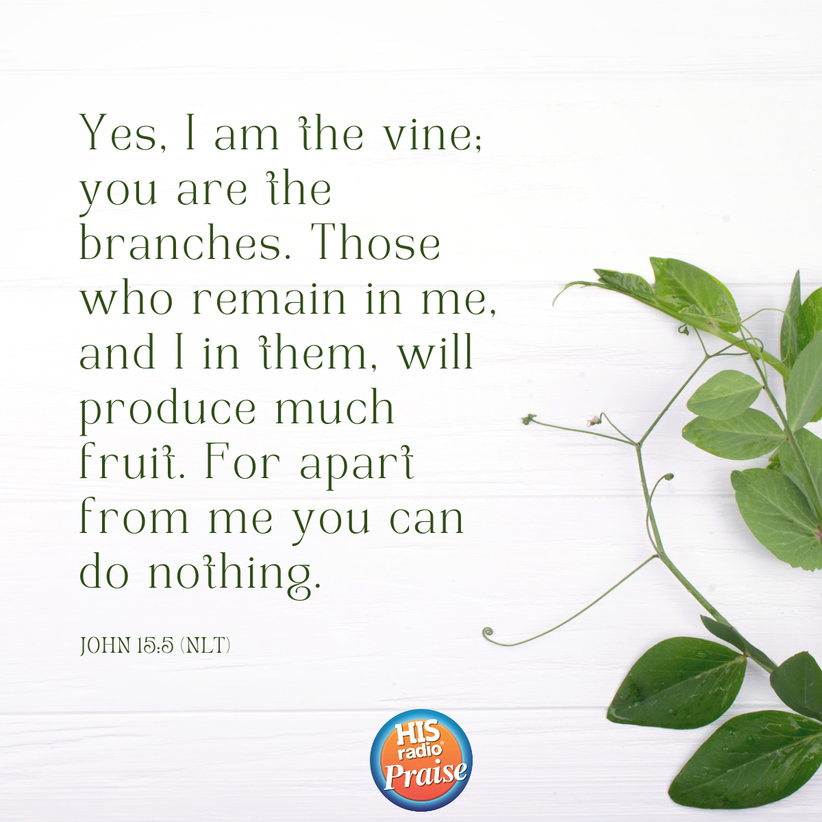 John 15:5 - Verse of the Day