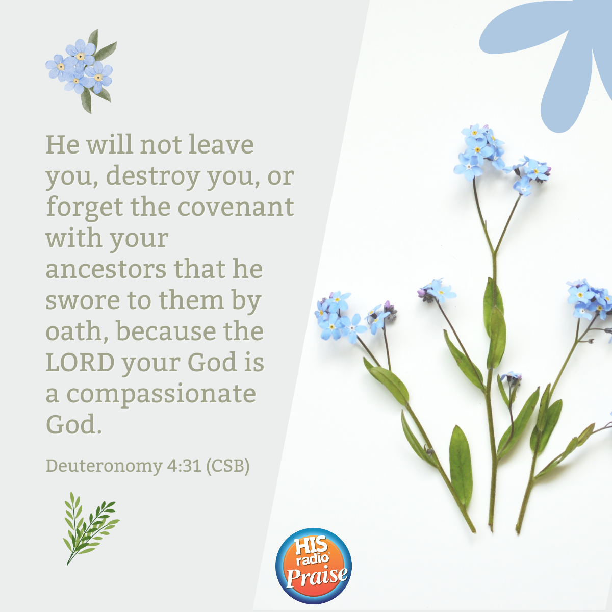 Deuteronomy 4:31 - Verse of the Day