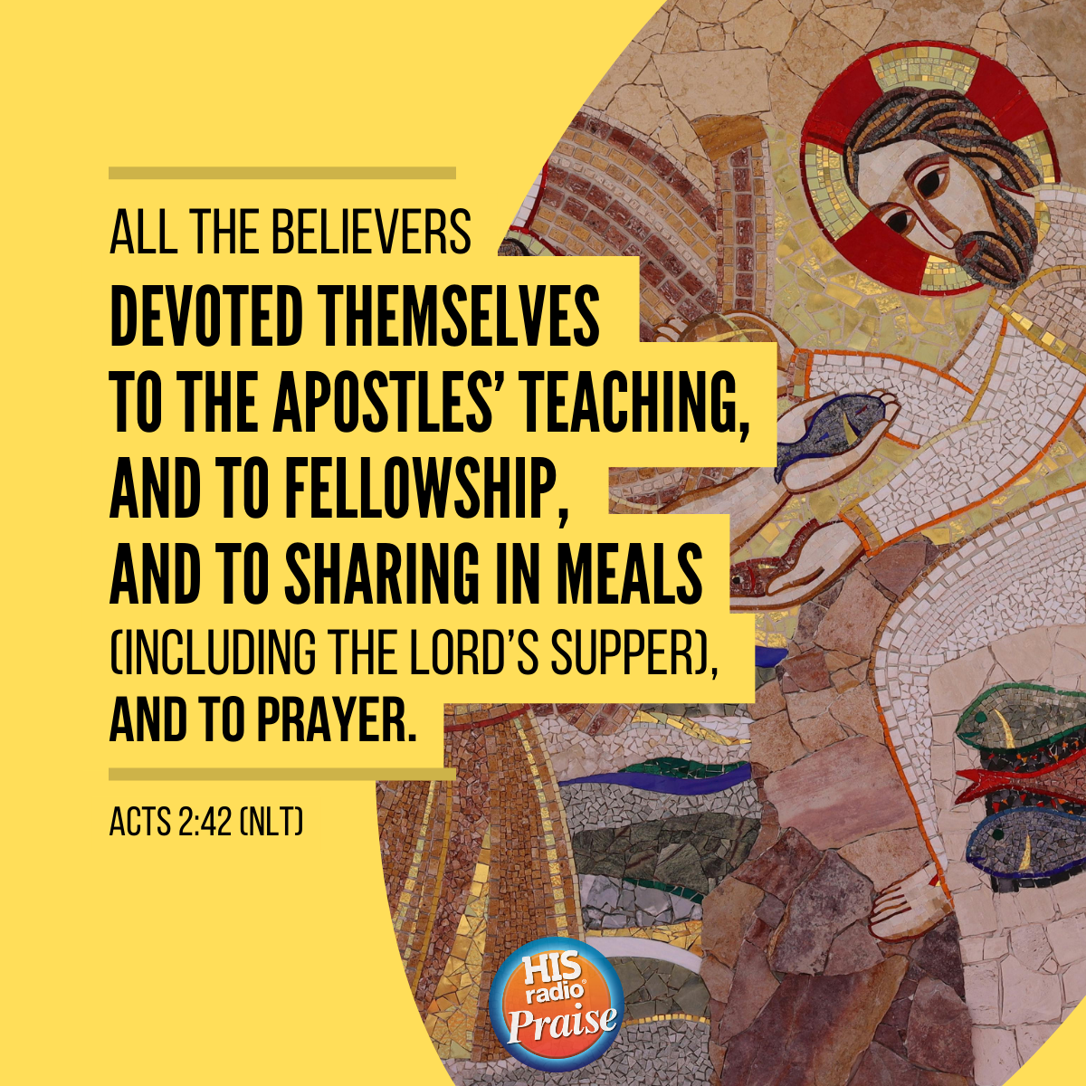 Acts 2:42 - Verse of the Day