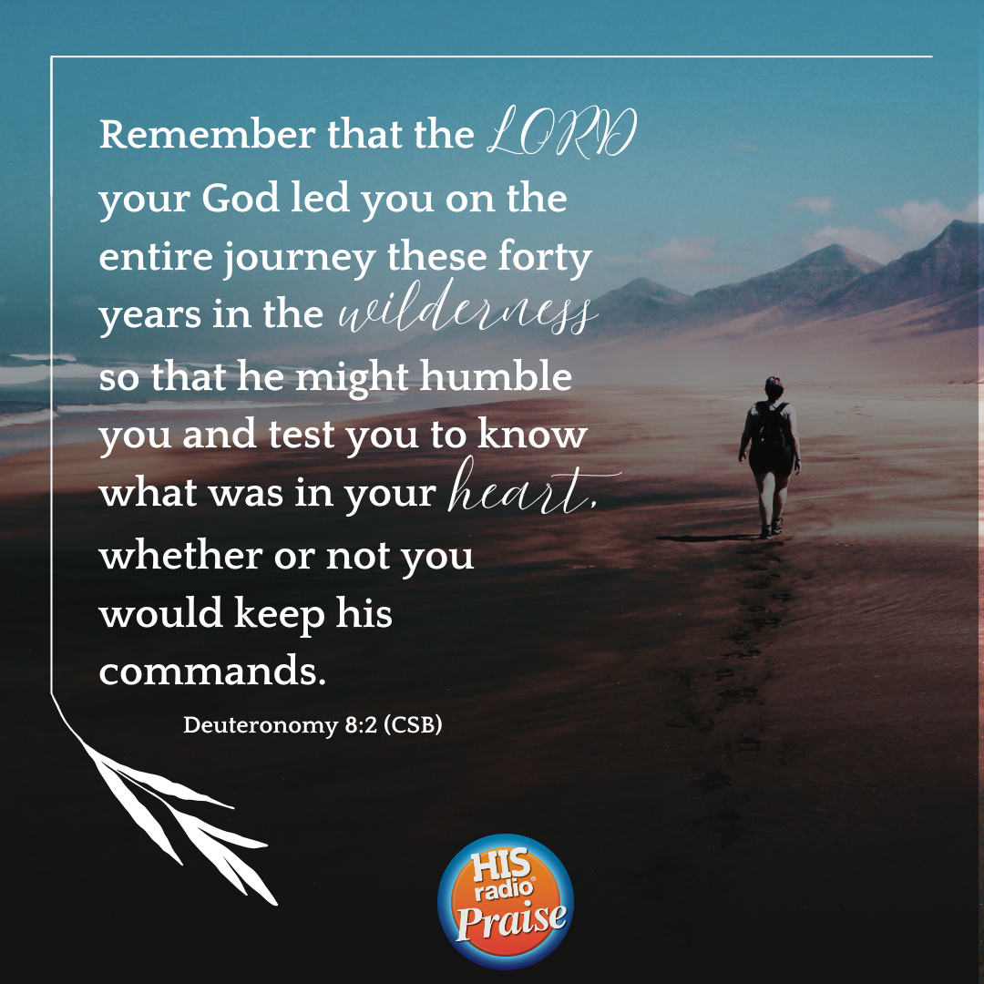 Deuteronomy 8:2 - Verse of the Day