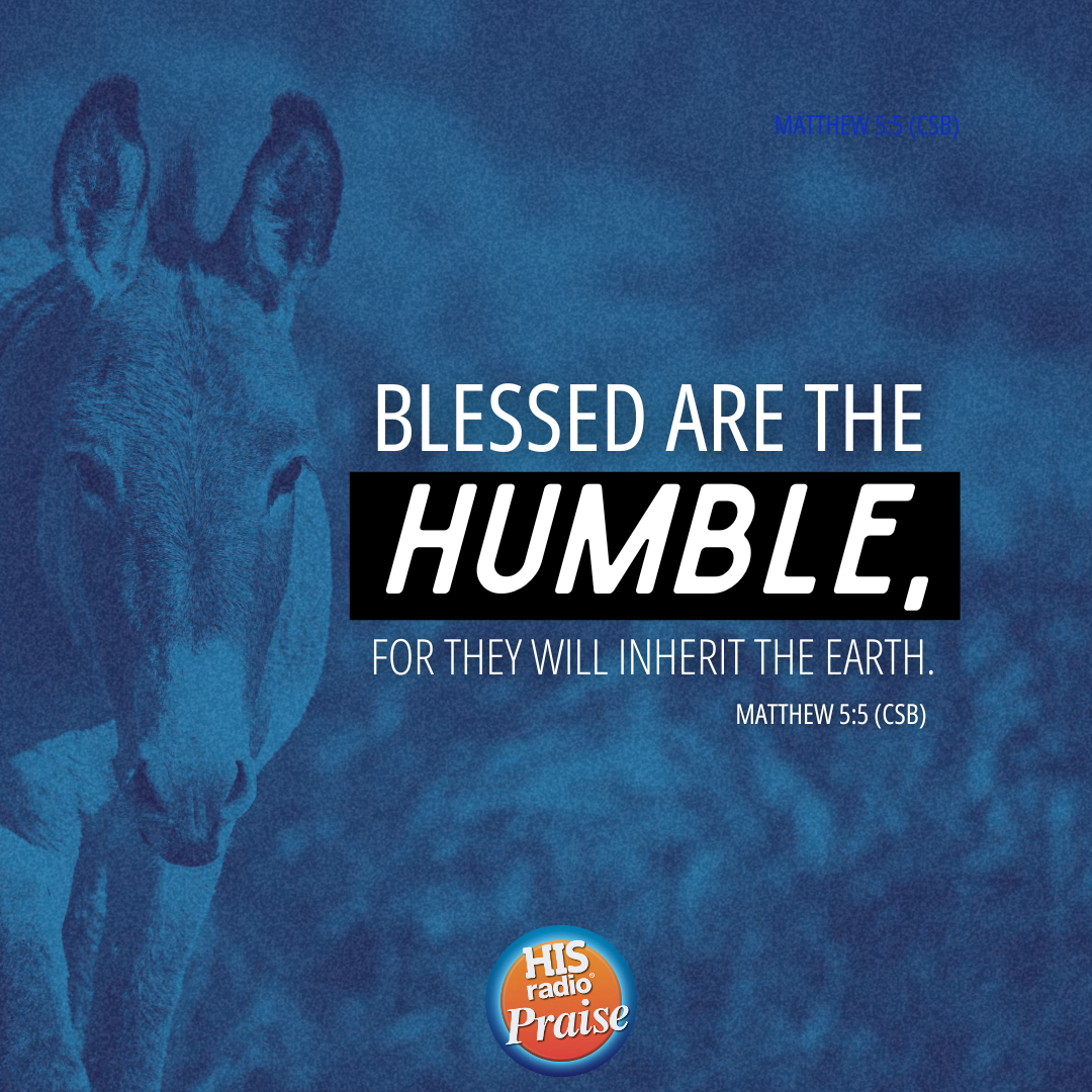 Matthew 5:5 - Verse of the Day