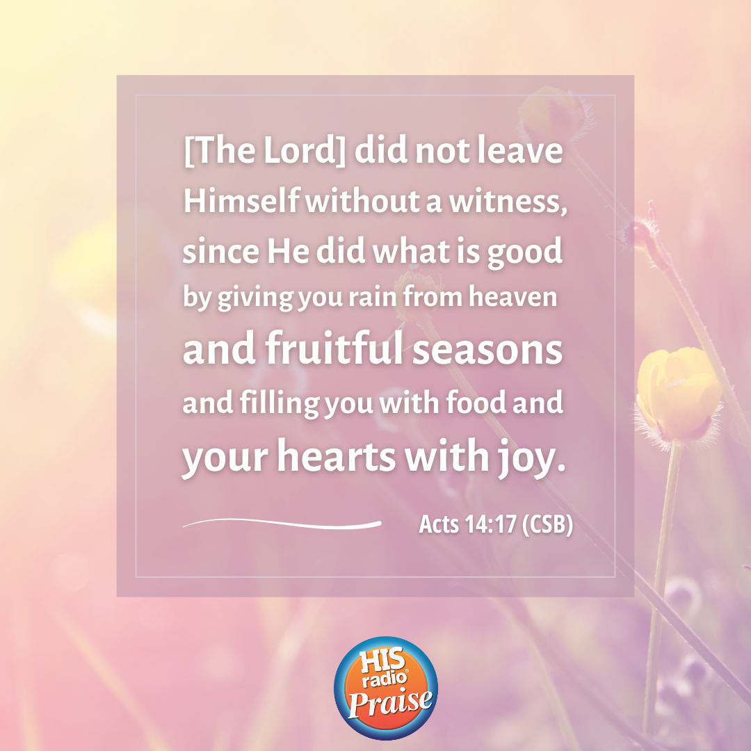 Acts 14:17 - Verse of the Day