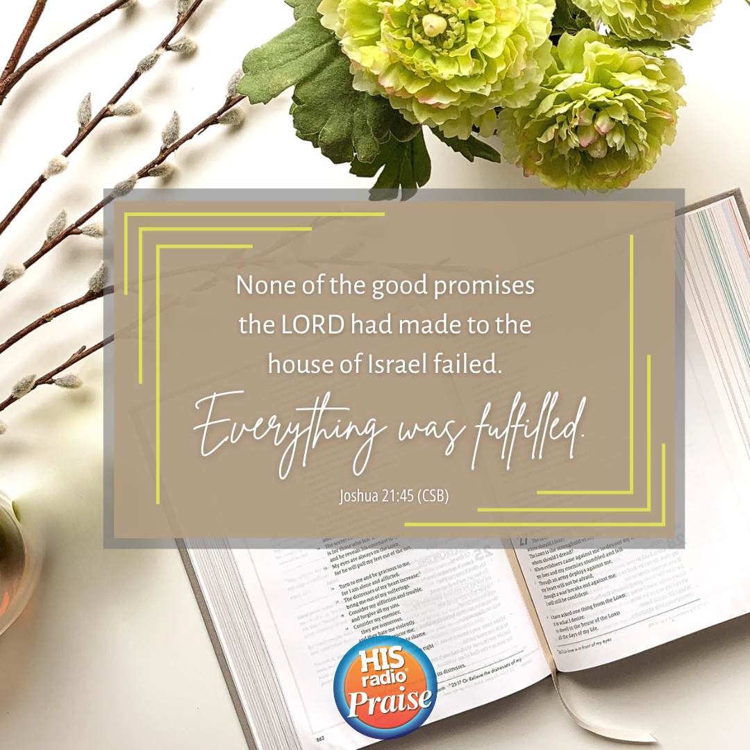 Joshua 21:45 - Verse of the Day