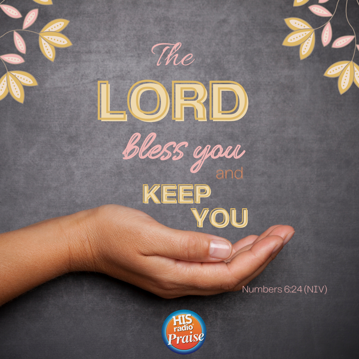 Numbers 6:24 - Verse of the Day
