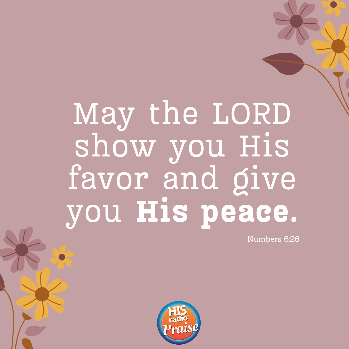 Numbers 6:26 - Verse of the Day