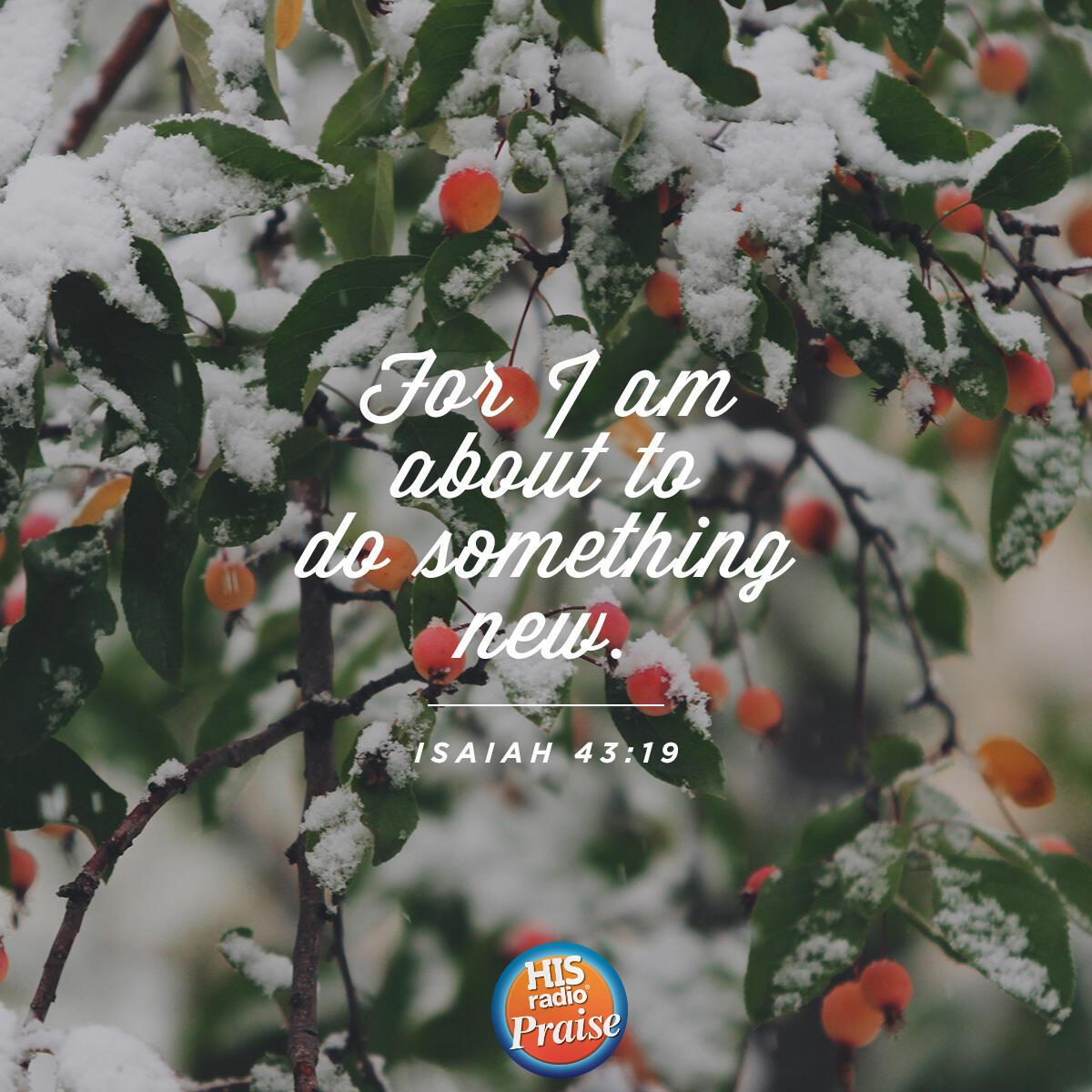 Isaiah 43:19 - Verse of the Day