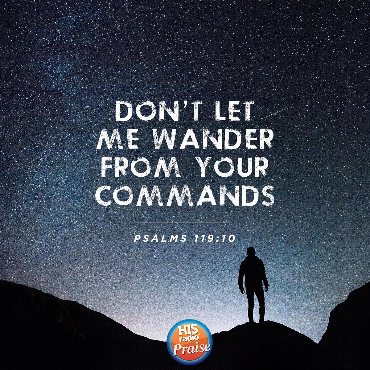 Psalms 119:10 - Verse of the Day