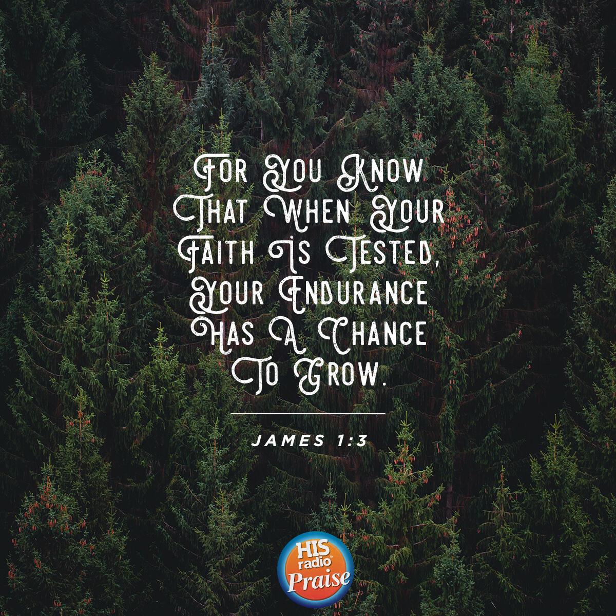 James 1:3 - Verse of the Day