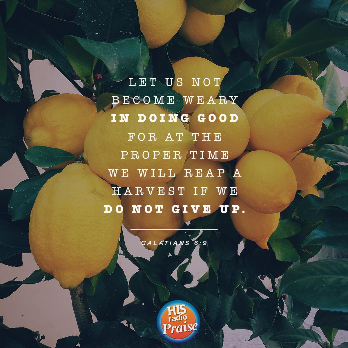 Galatians 6:9 - Verse of the Day
