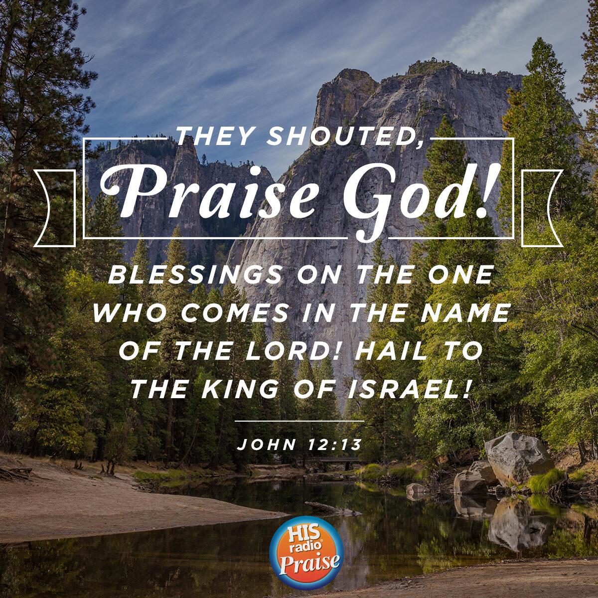 John 12:13 - Verse of the Day