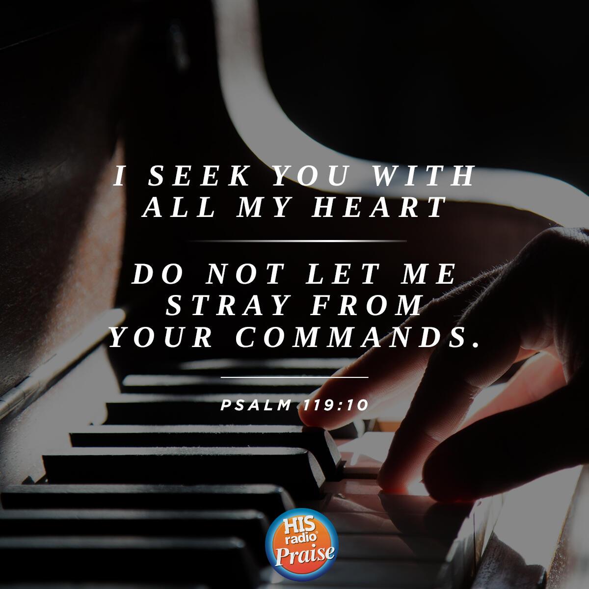 Psalm 119:10 - Verse of the Day