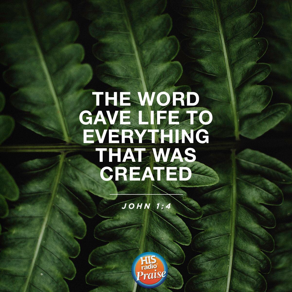 John 1:4 - Verse of the Day