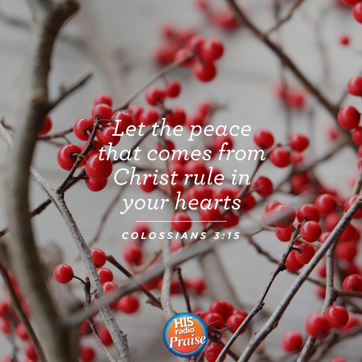 Colossians 3:15 - Verse of the Day