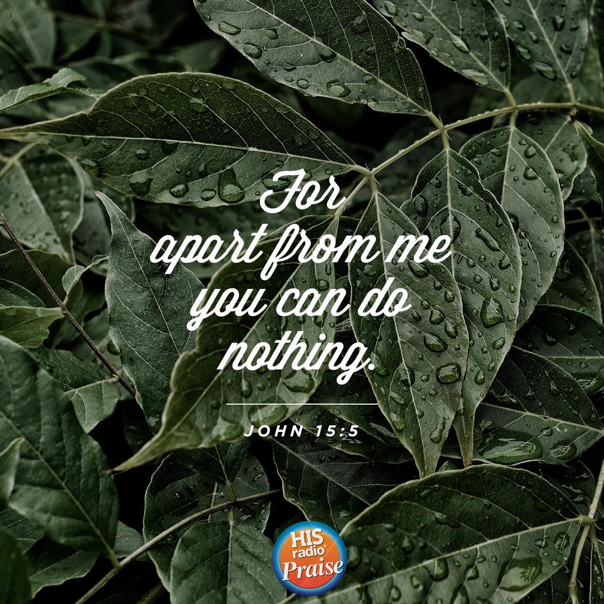 John 15:5 - Verse of the Day