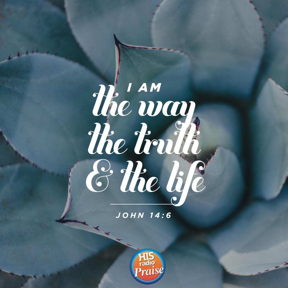 John 14:6 - Verse of the Day