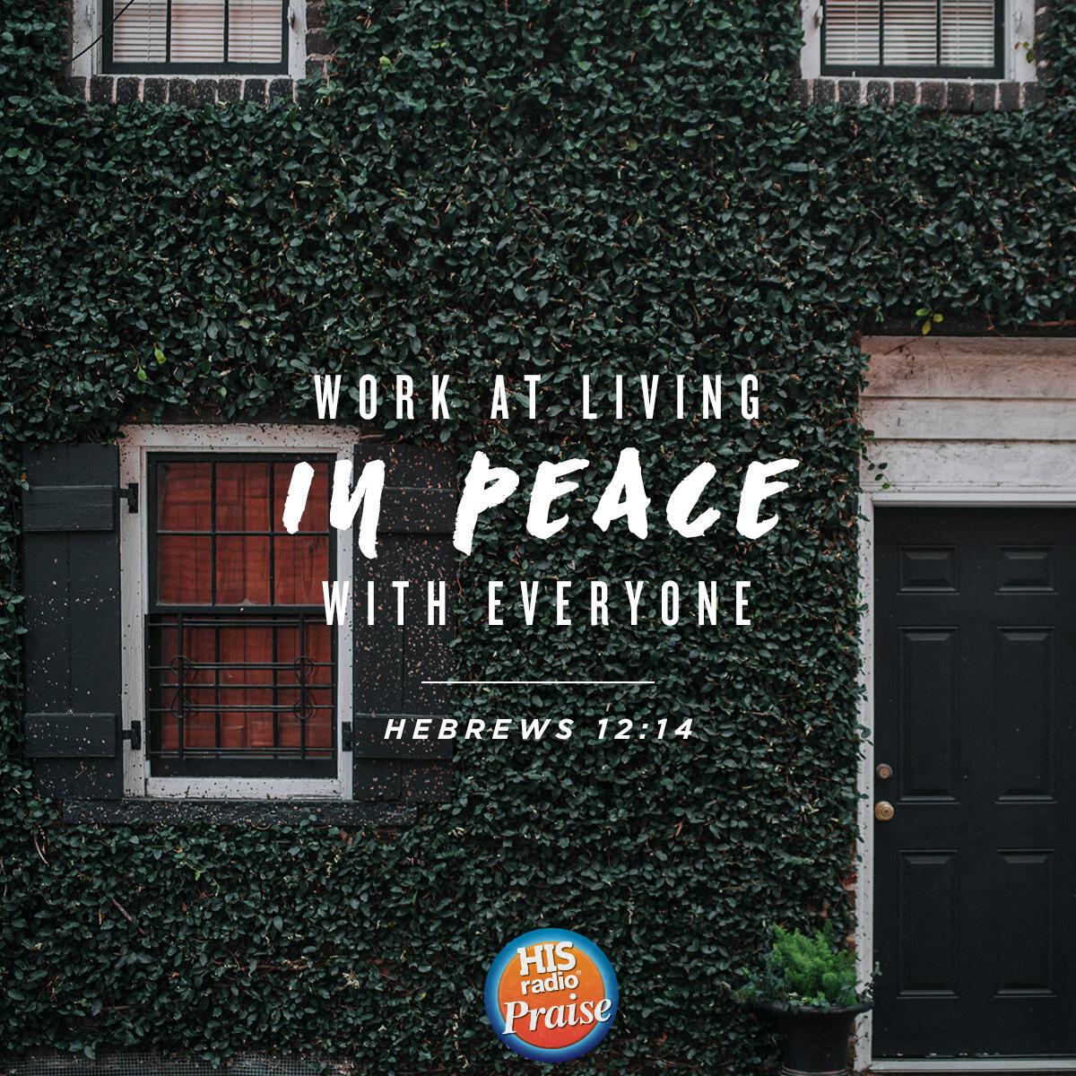 Hebrews 12:14 - Verse of the Day