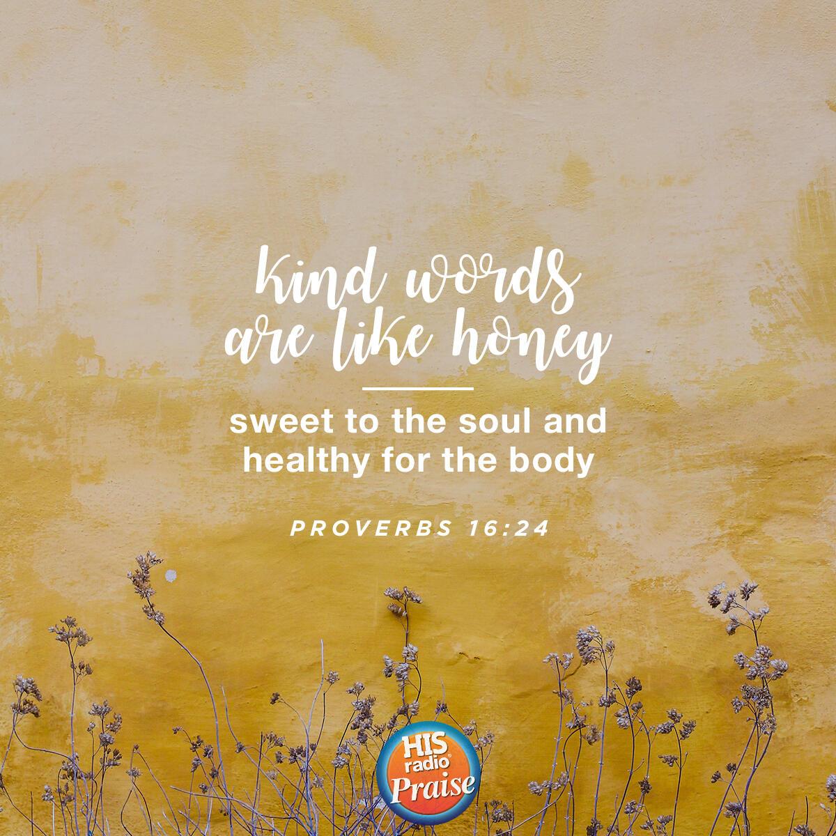 Proverbs 16:24 - Verse of the Day
