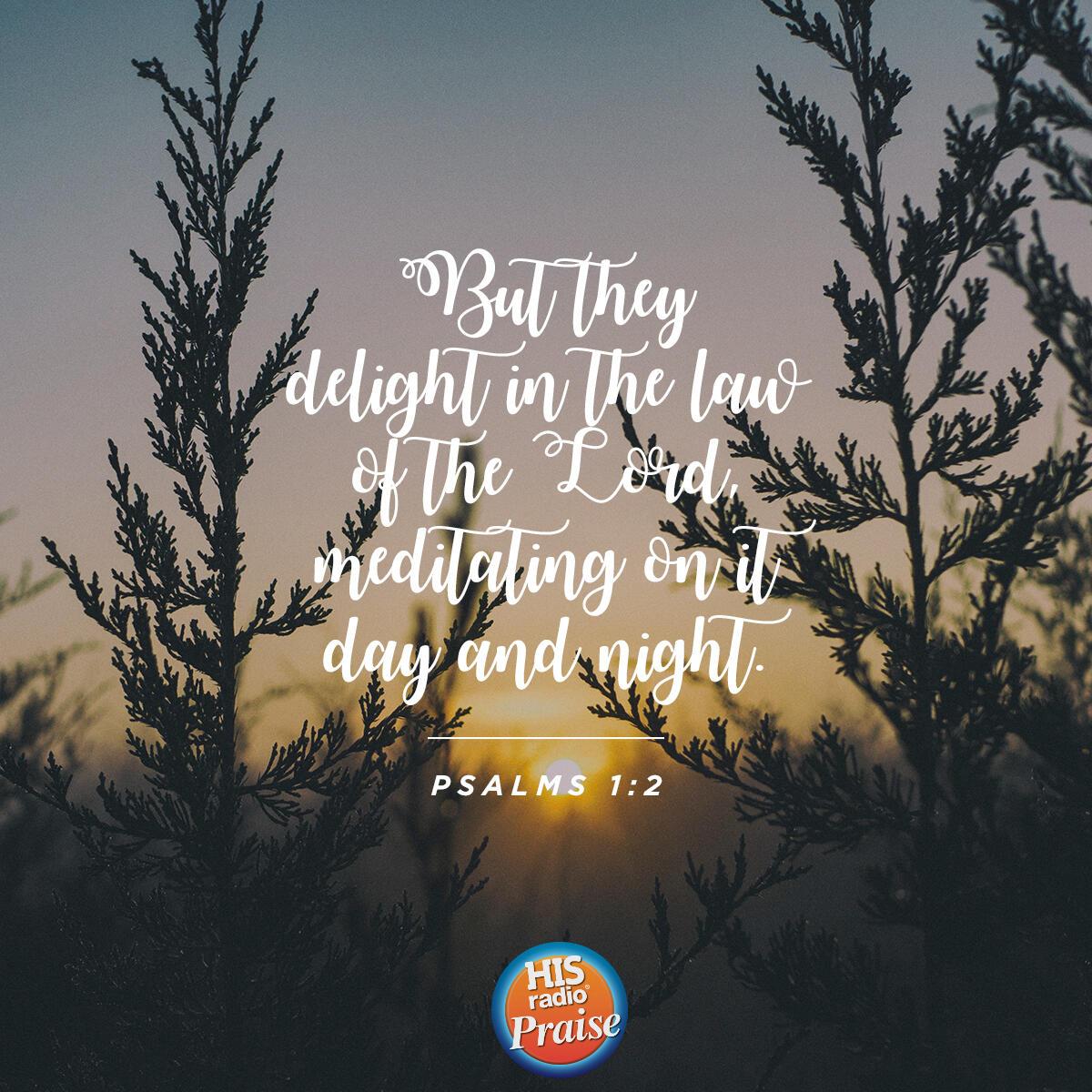 Psalms 1:2 - Verse of the Day