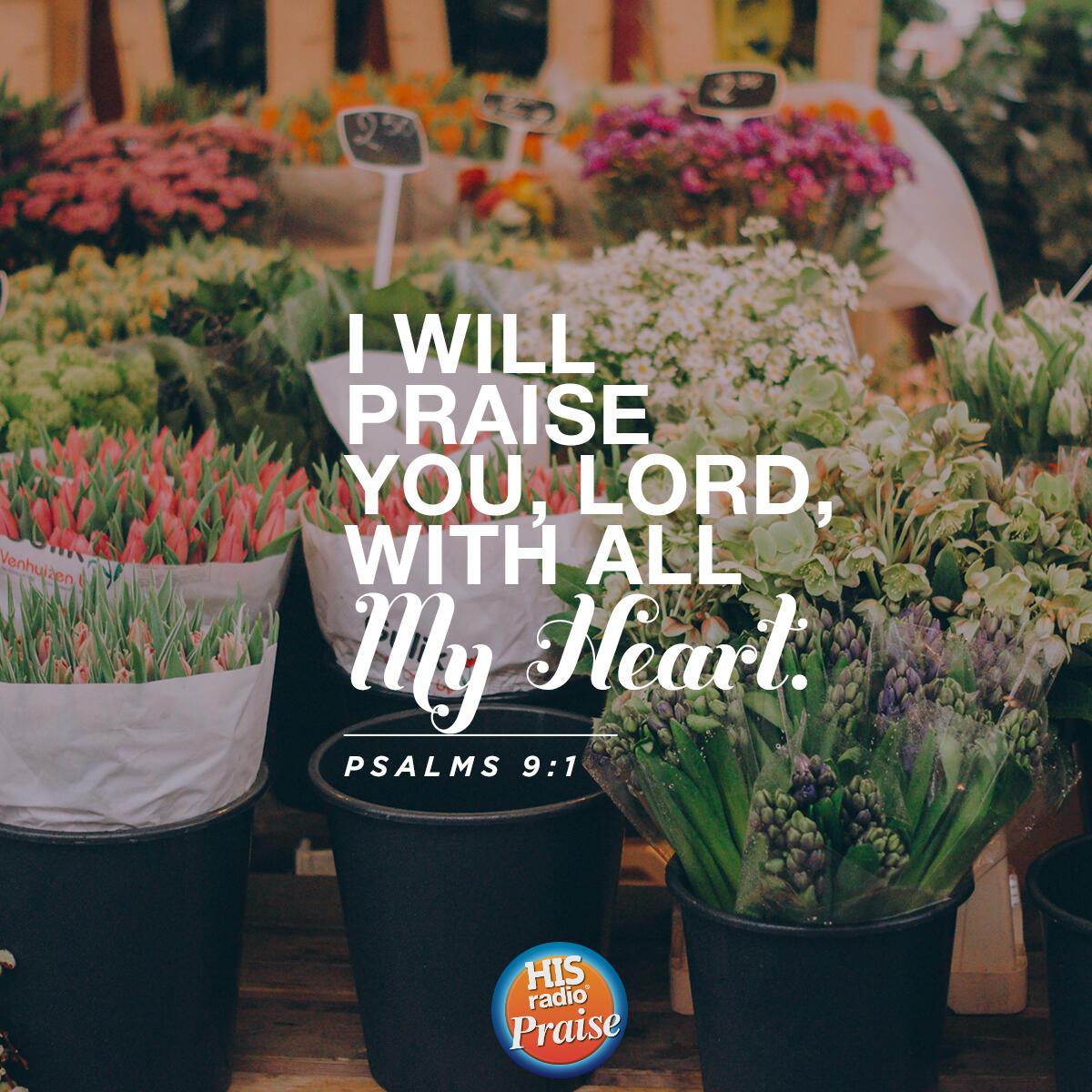Psalms 9:1 - Verse of the Day