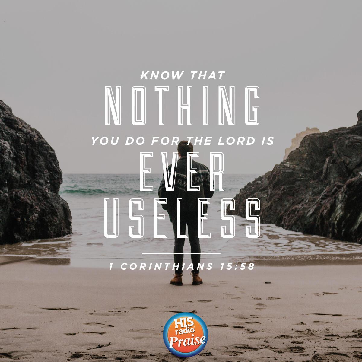 1 Corinthians 15:58 - Verse of the Day