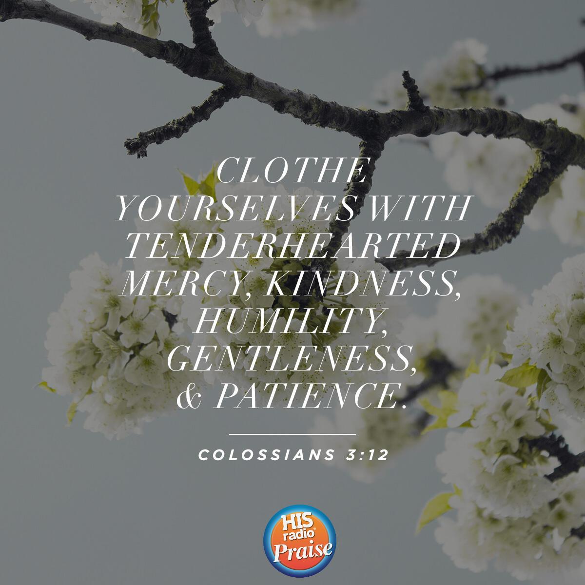 Colossians 3:12 - Verse of the Day