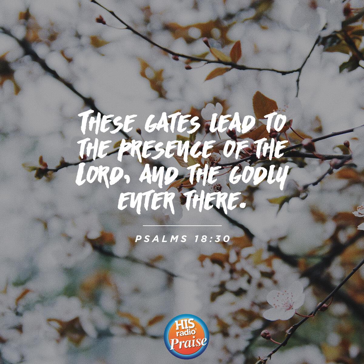 Psalm 118:20 - Verse of the Day
