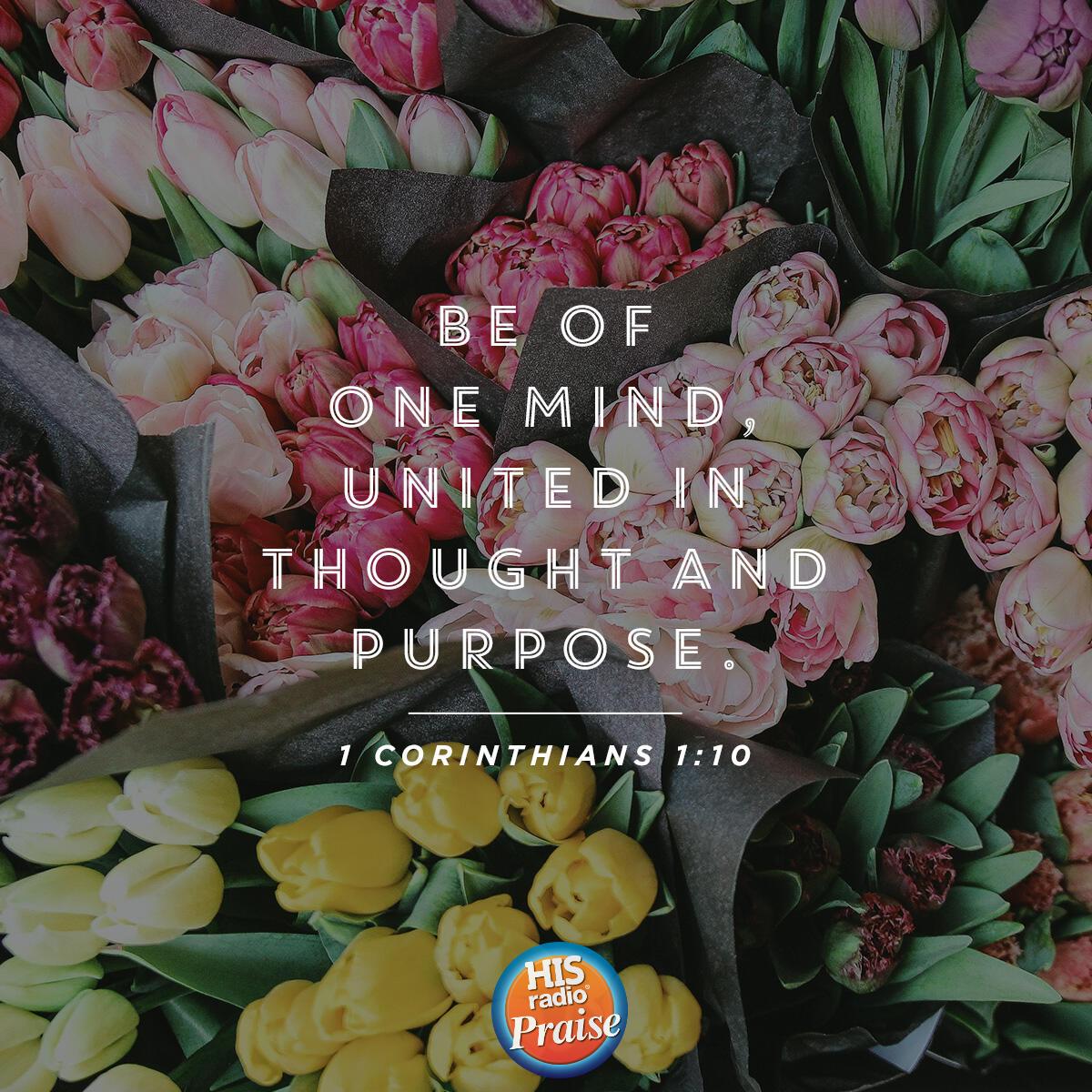 1 Corinthians 1:10 - Verse of the Day