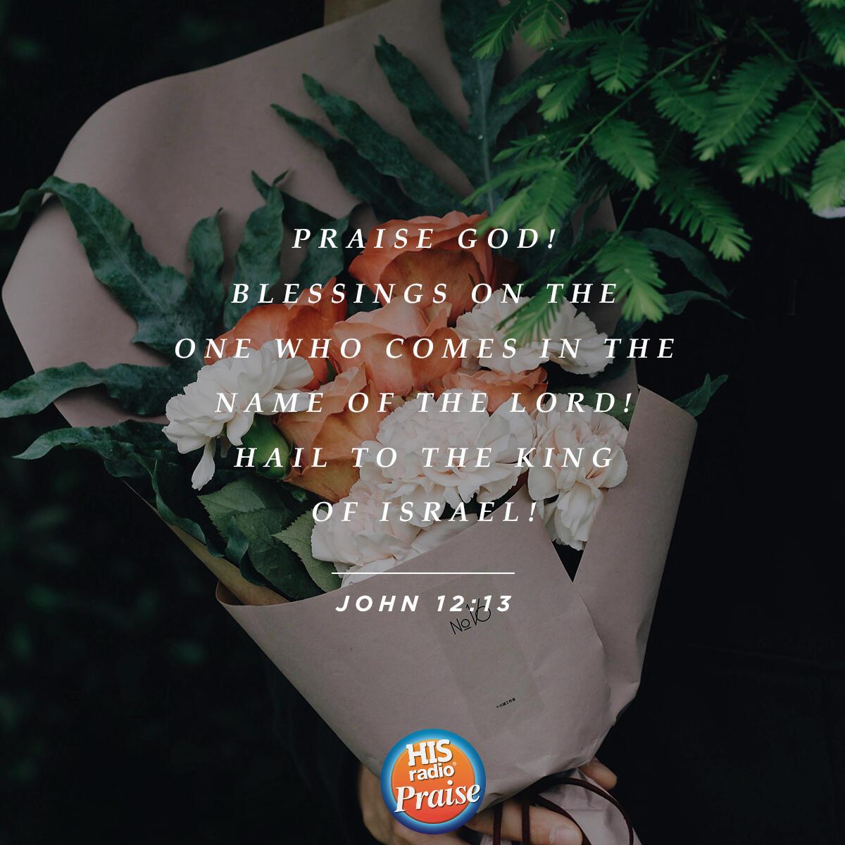John 12:13 - Verse of the Day
