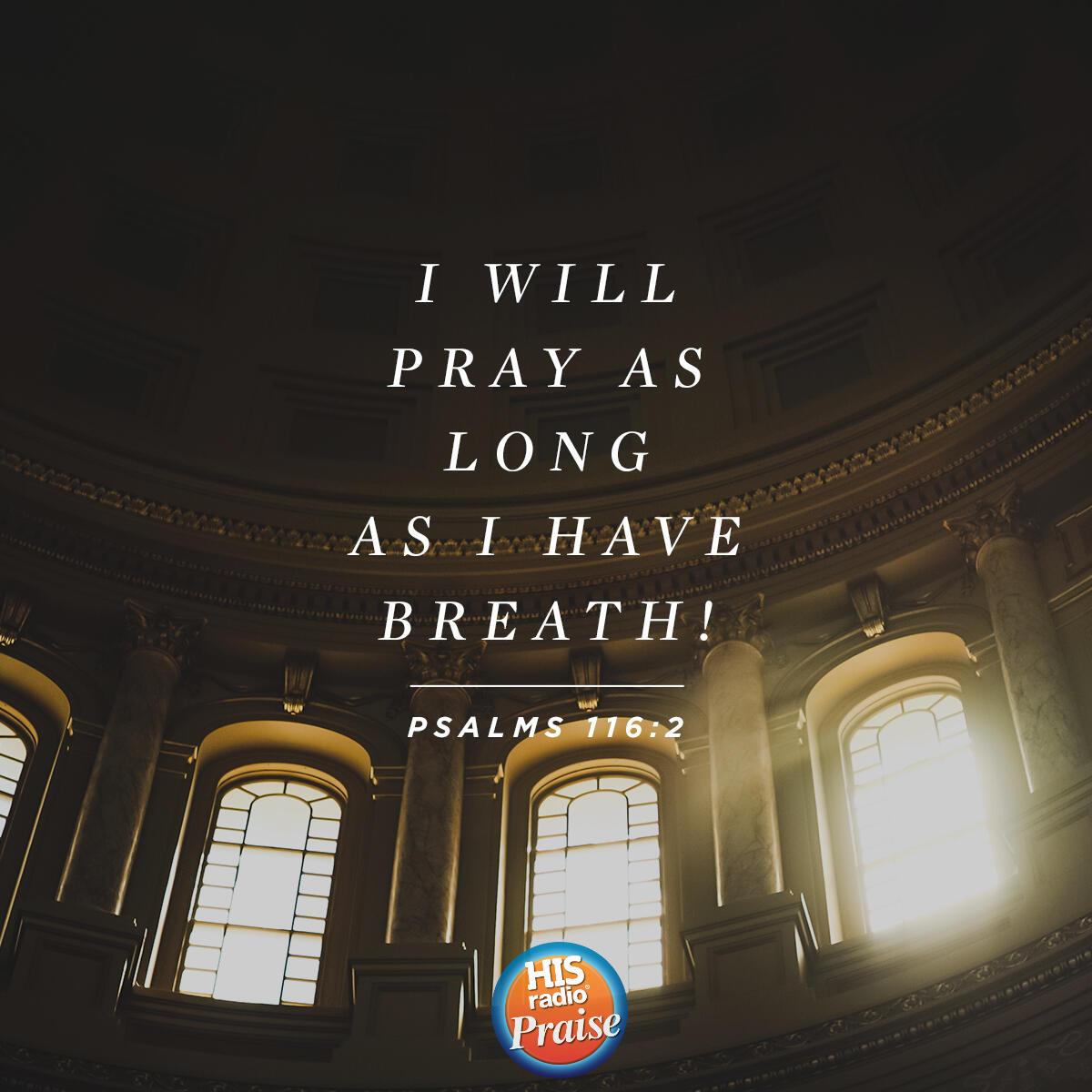 Psalms 116:2 - Verse of the Day