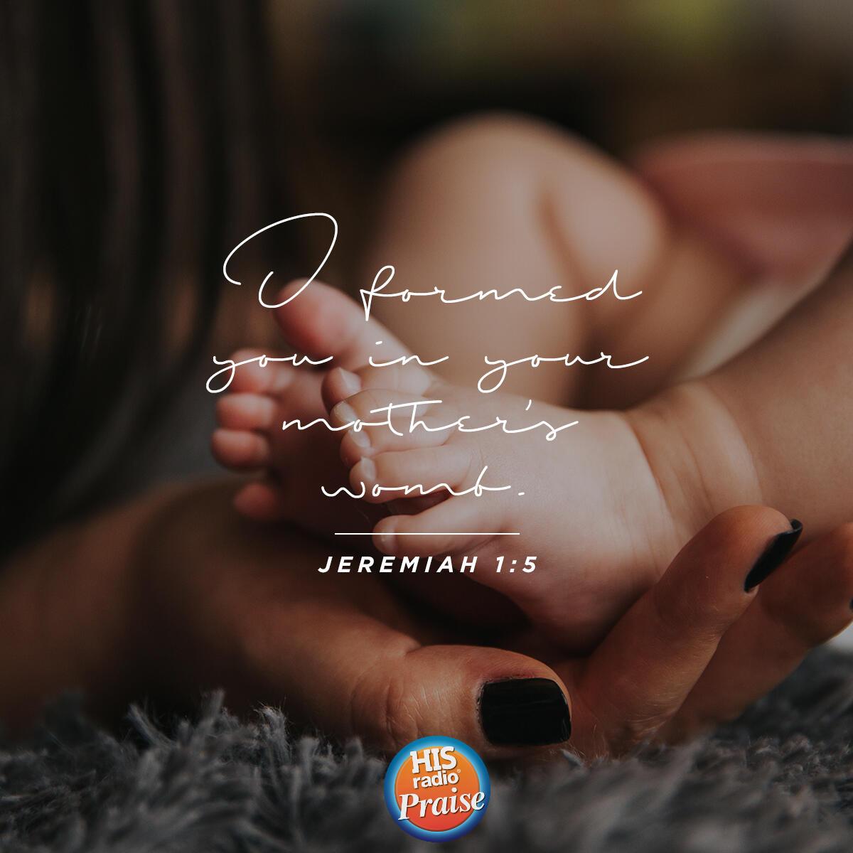 Jeremiah 1:5 - Verse of the Day