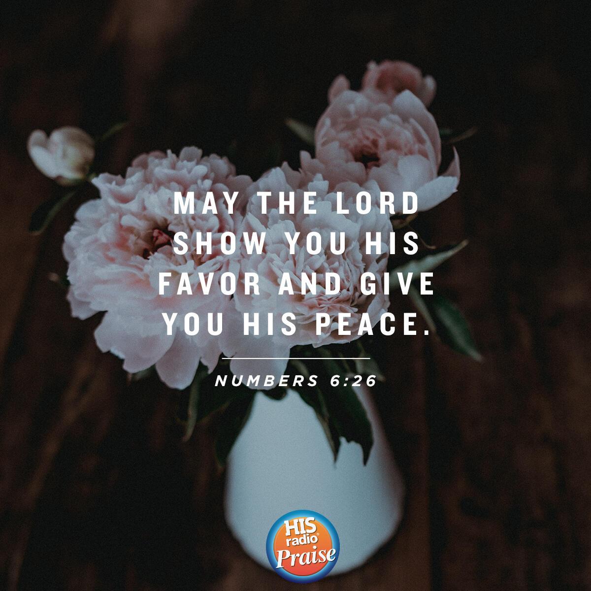 Numbers 6:26 - Verse of the Day