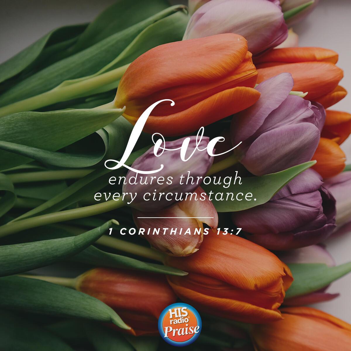 1 Corinthians 13:7 - Verse of the Day