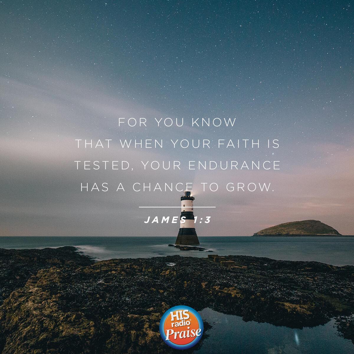 James 1:3 - Verse of the Day