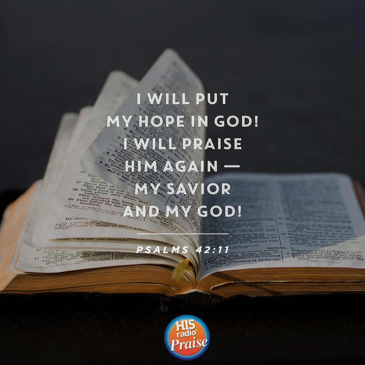 Psalms 42:11 - Verse of the Day