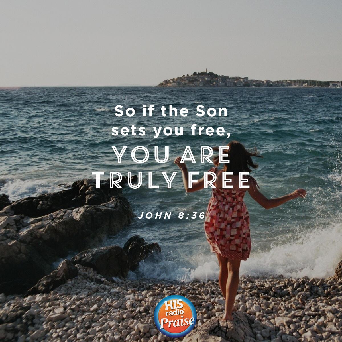 John 8:36 - Verse of the Day