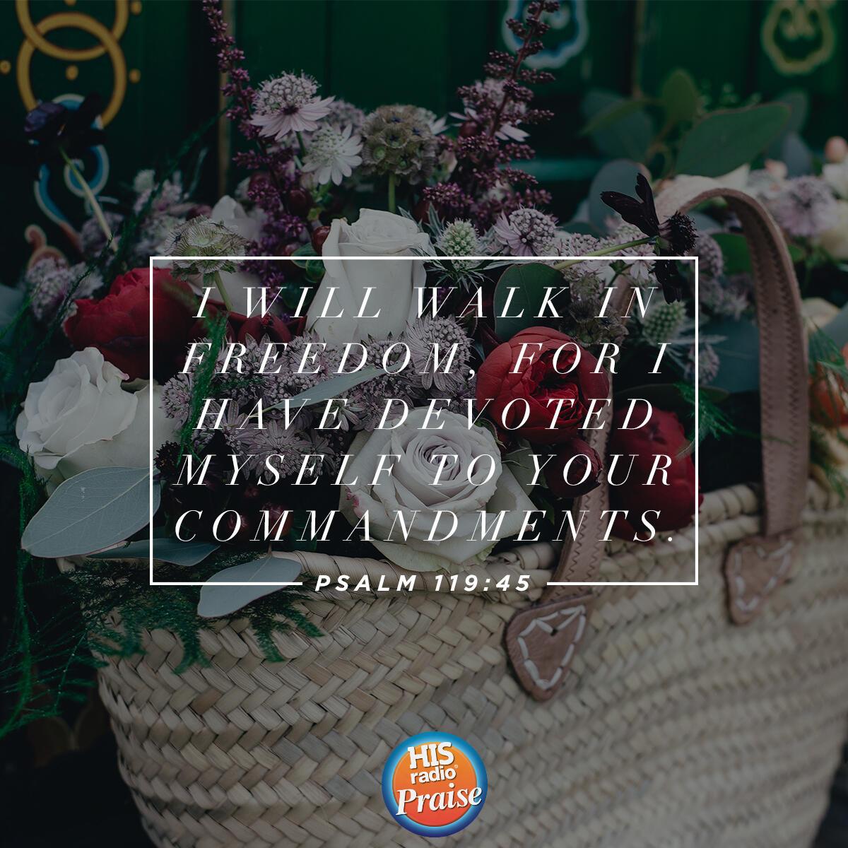Psalm 119:45 - Verse of the Day