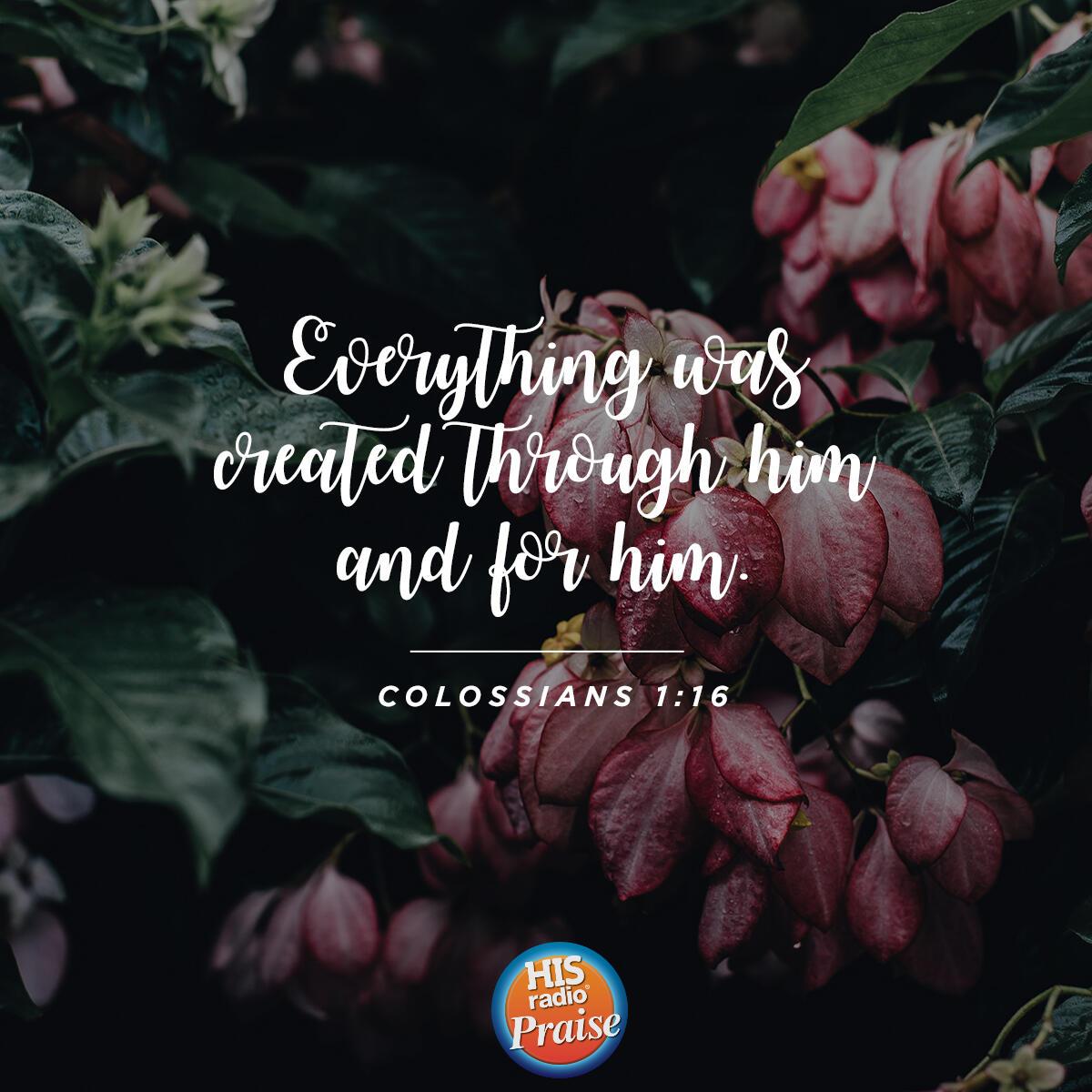 Colossians 1:16 - Verse of the Day