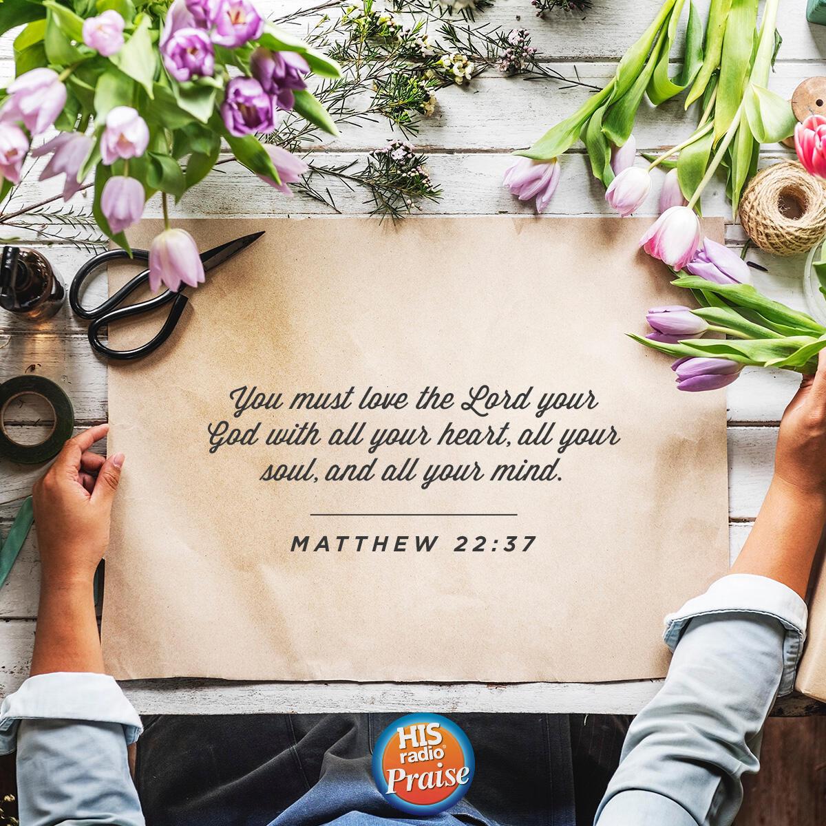 Matthew 22:37 - Verse of the Day