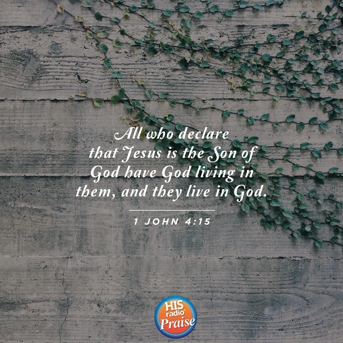 1 John 4:15 - Verse of the Day