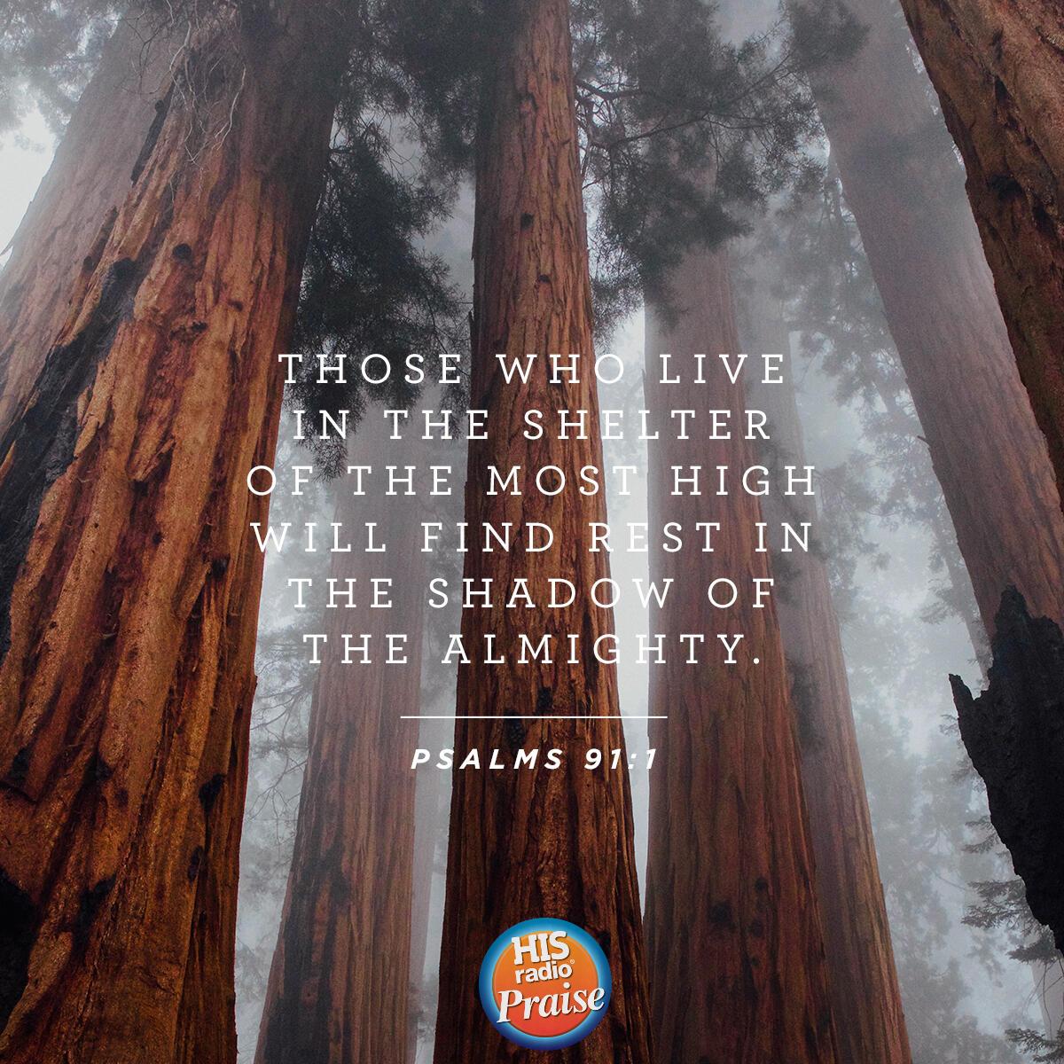1 Peter 1:3 - Verse of the Day