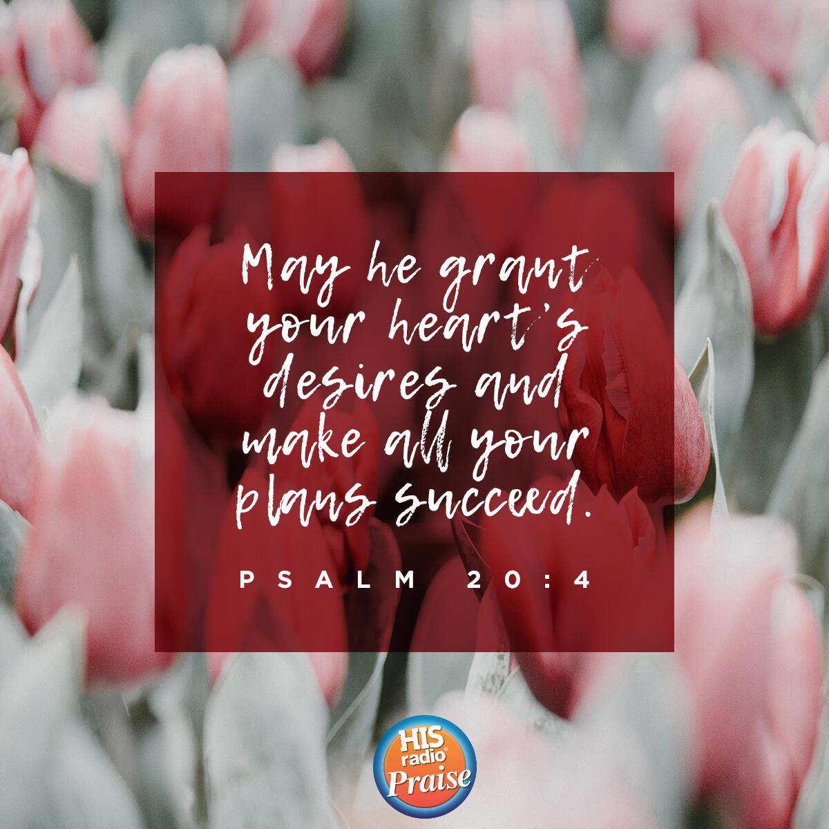 Psalm 20:4 - Verse of the Day
