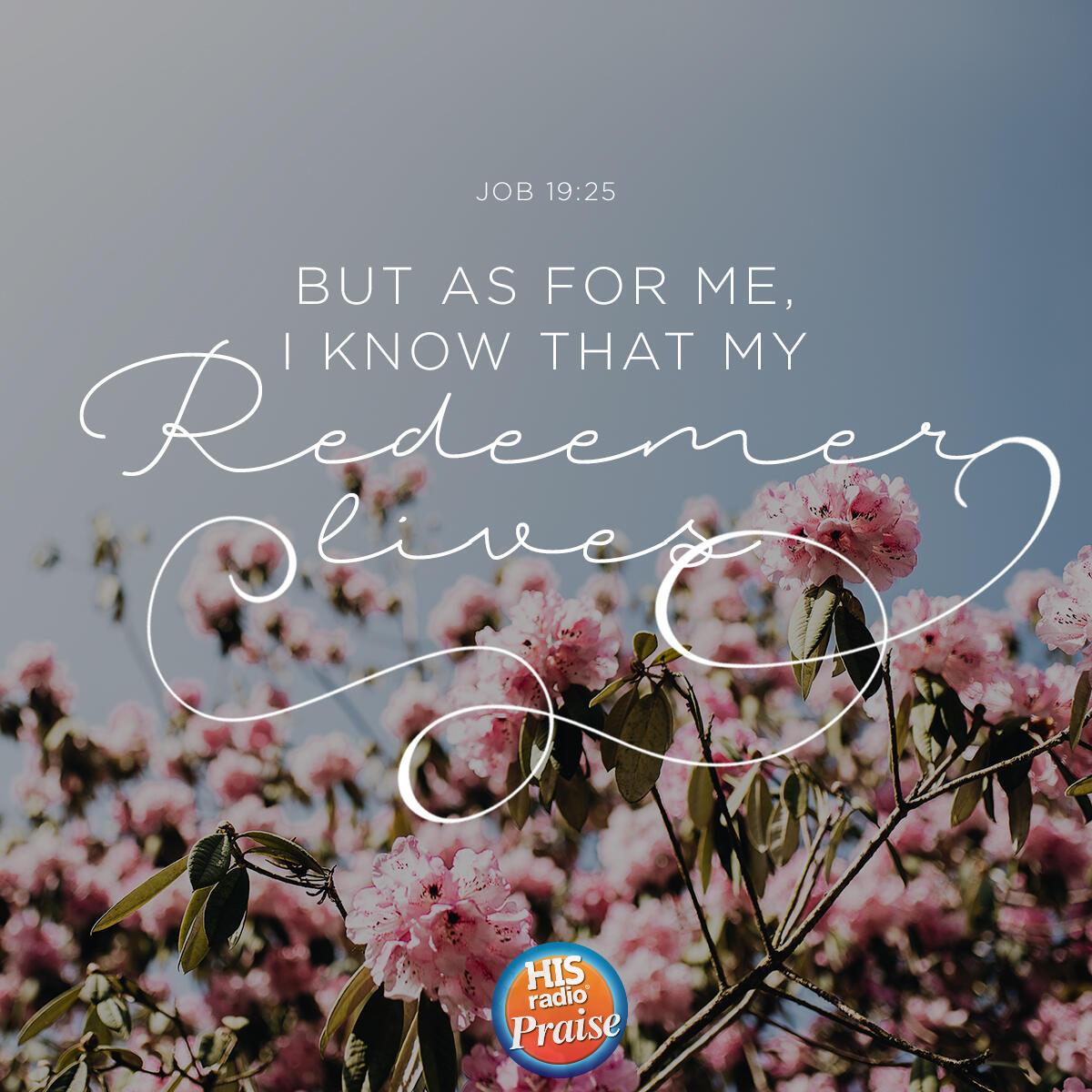 Job 19:25 - Verse of the Day