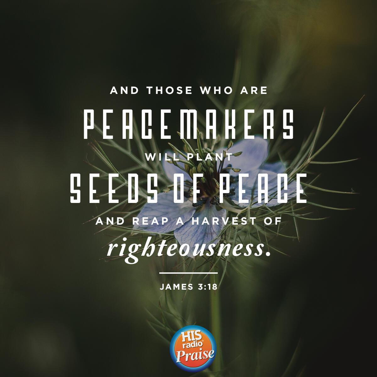 James 3:18 - Verse of the Day