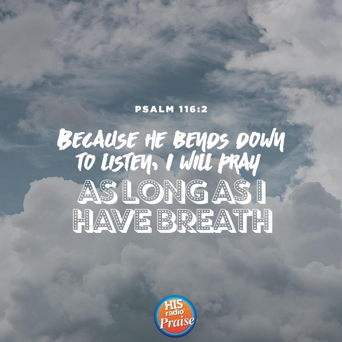 Psalm 116:2 - Verse of the Day