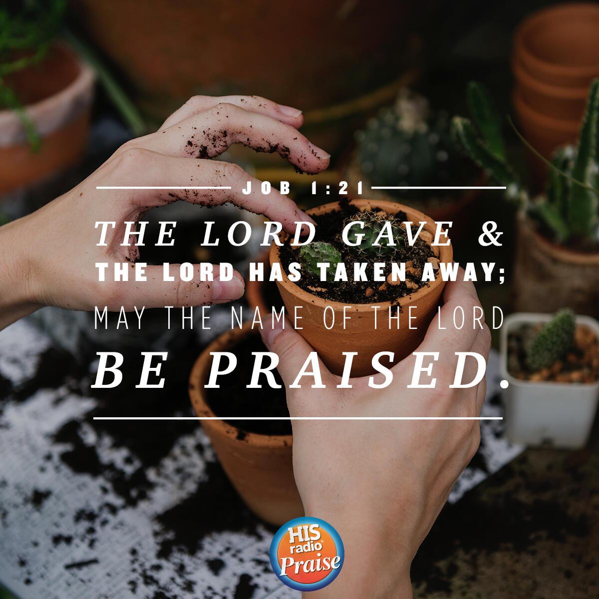 Job 1:21 - Verse of the Day
