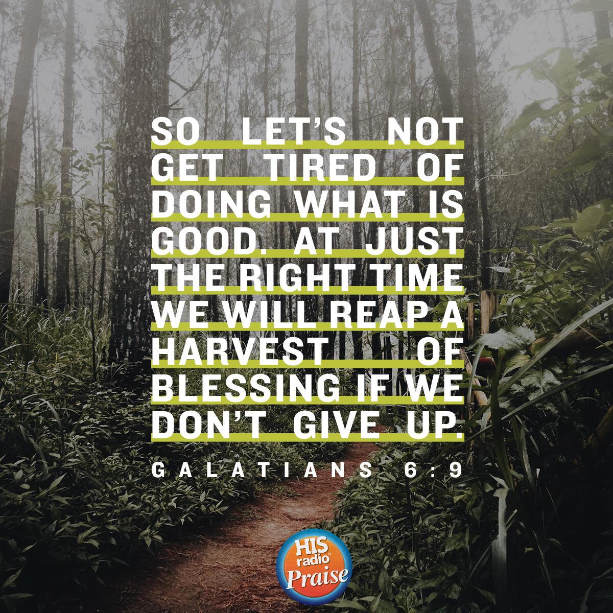 Galatians 6:9 - Verse of the Day