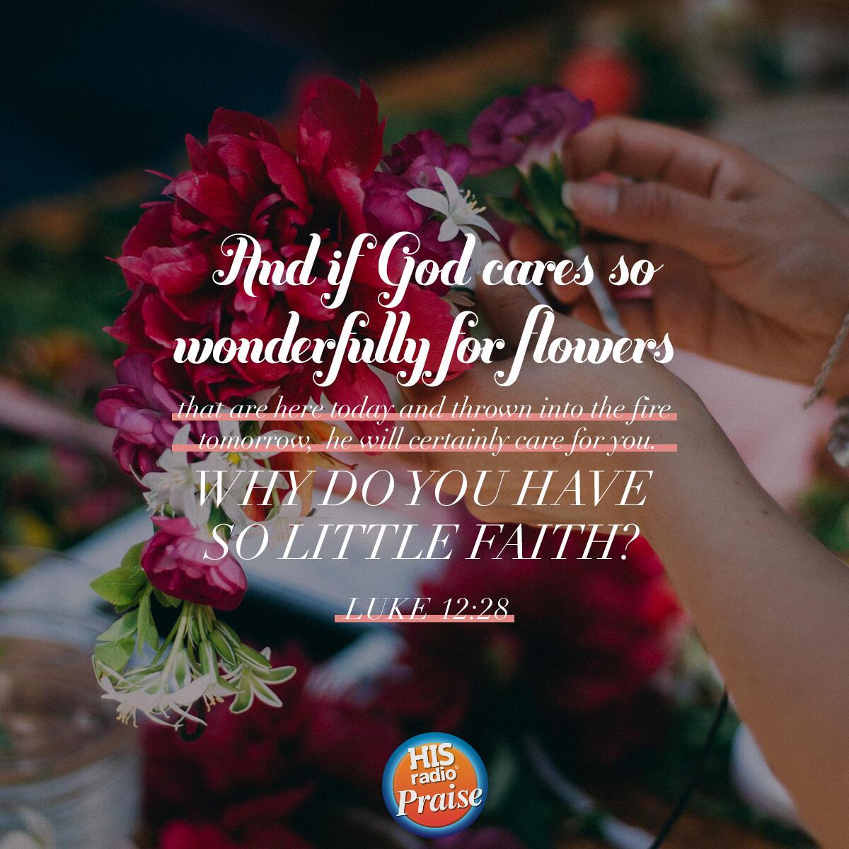Luke 12:28 - Verse of the Day